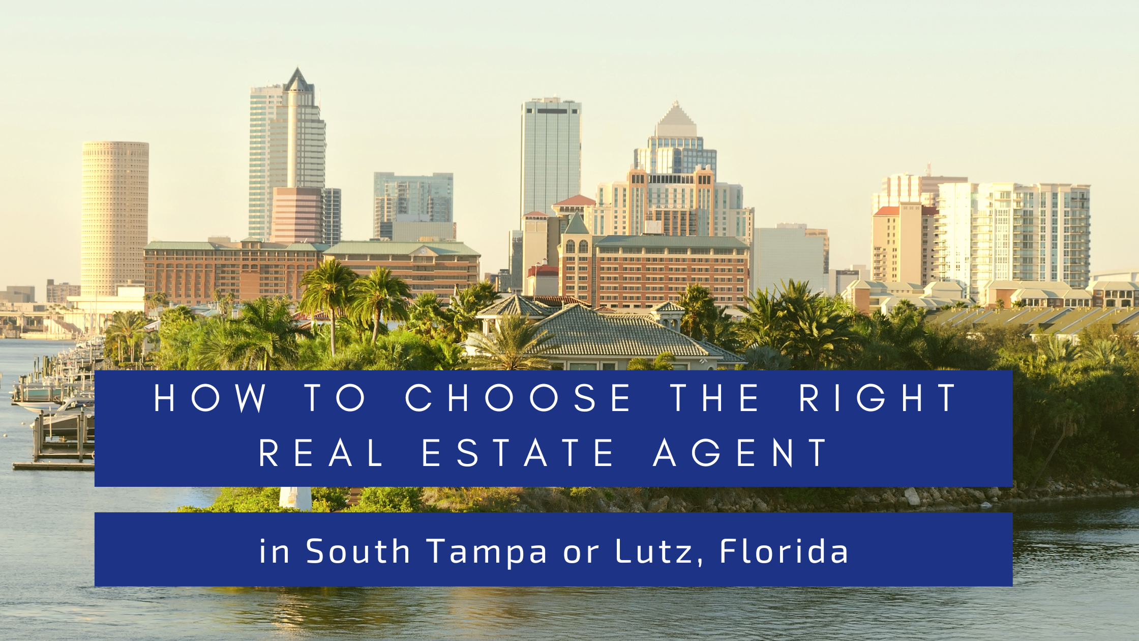 How to Choose the Right Real Estate Agent in South Tampa or Lutz, Florida header image.