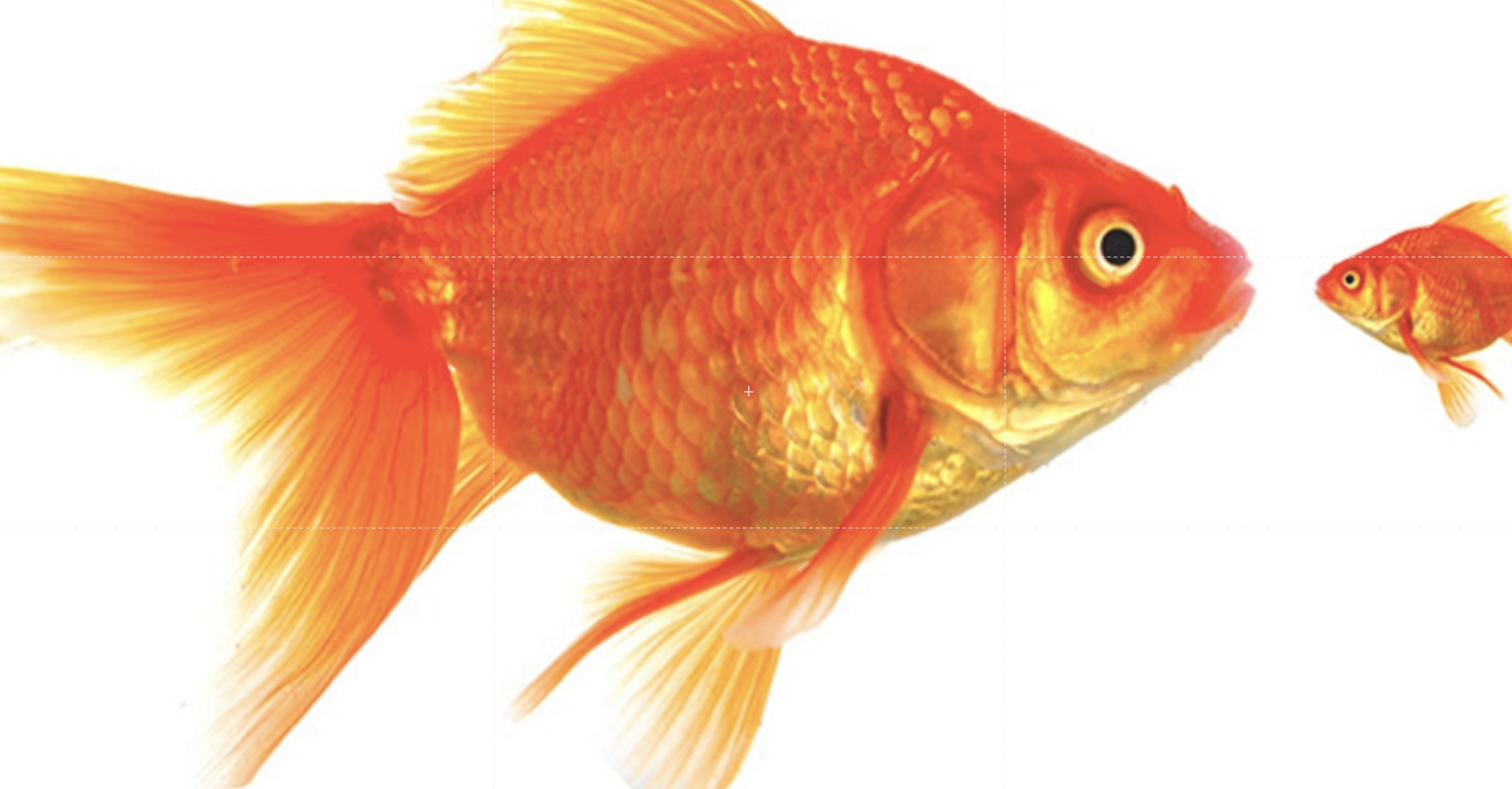 Homeowner’s Net Worth Is Still Greater Than A Renter’s header image.