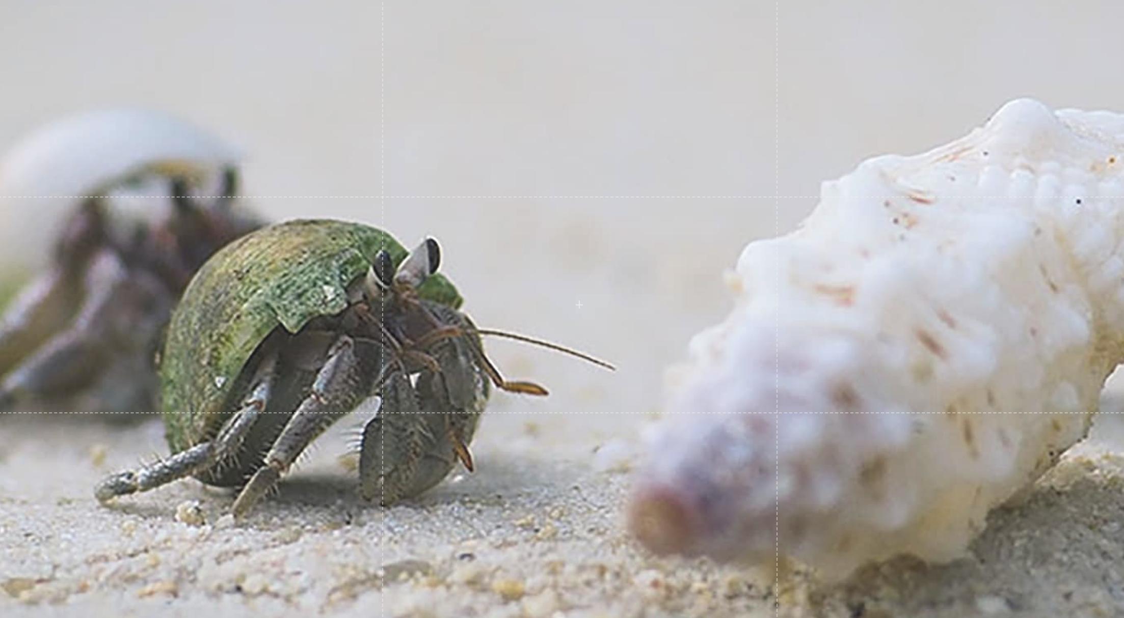 ???? The Impact of Tight Inventory on the Housing Market ?However, there is one thing that may cause the industry to tap the brakes: a lack of housing inventory. While buyer demand looks like it will header image.