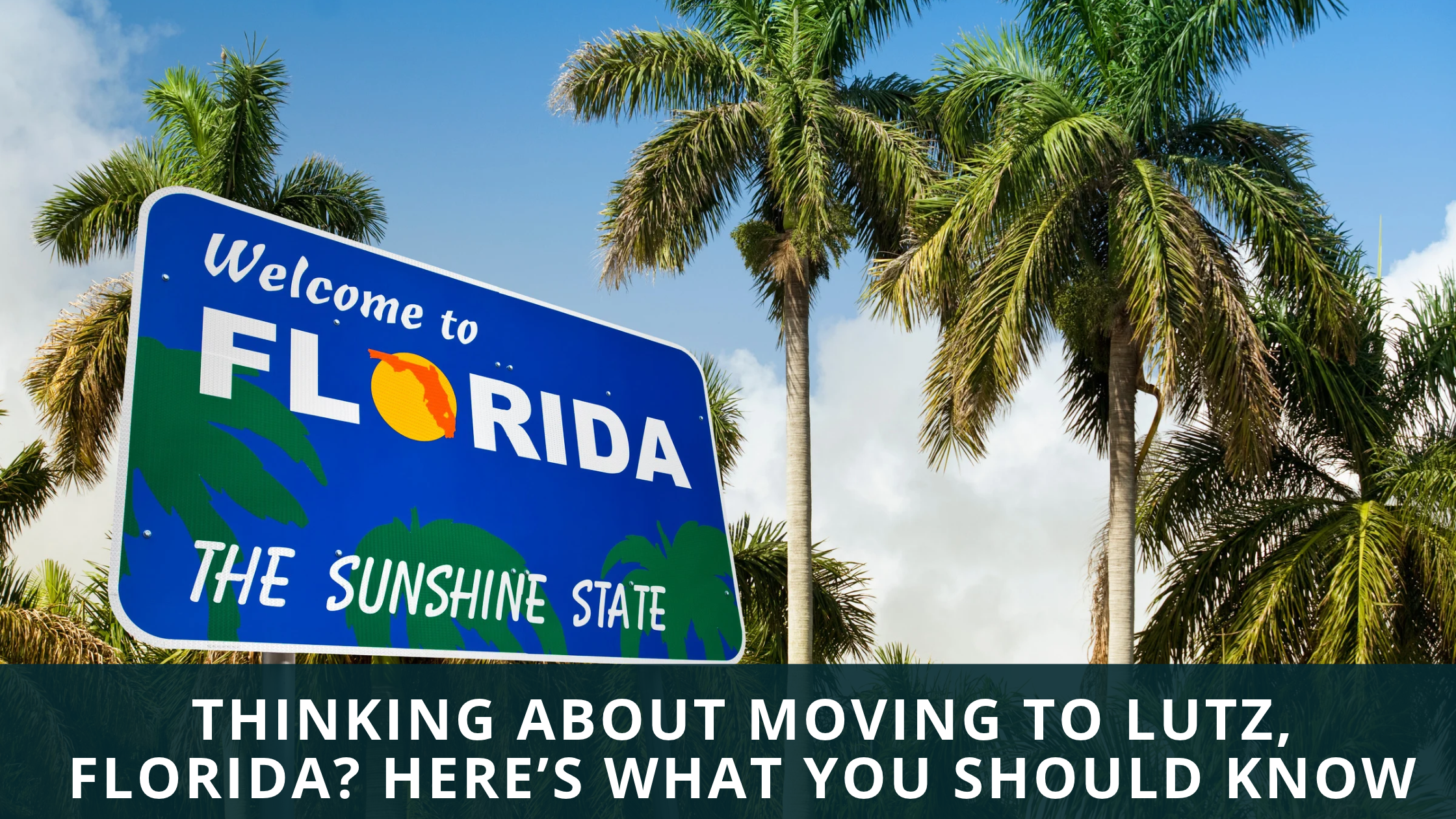 Thinking About Moving to Lutz, Florida? Here’s What You Should Know header image.