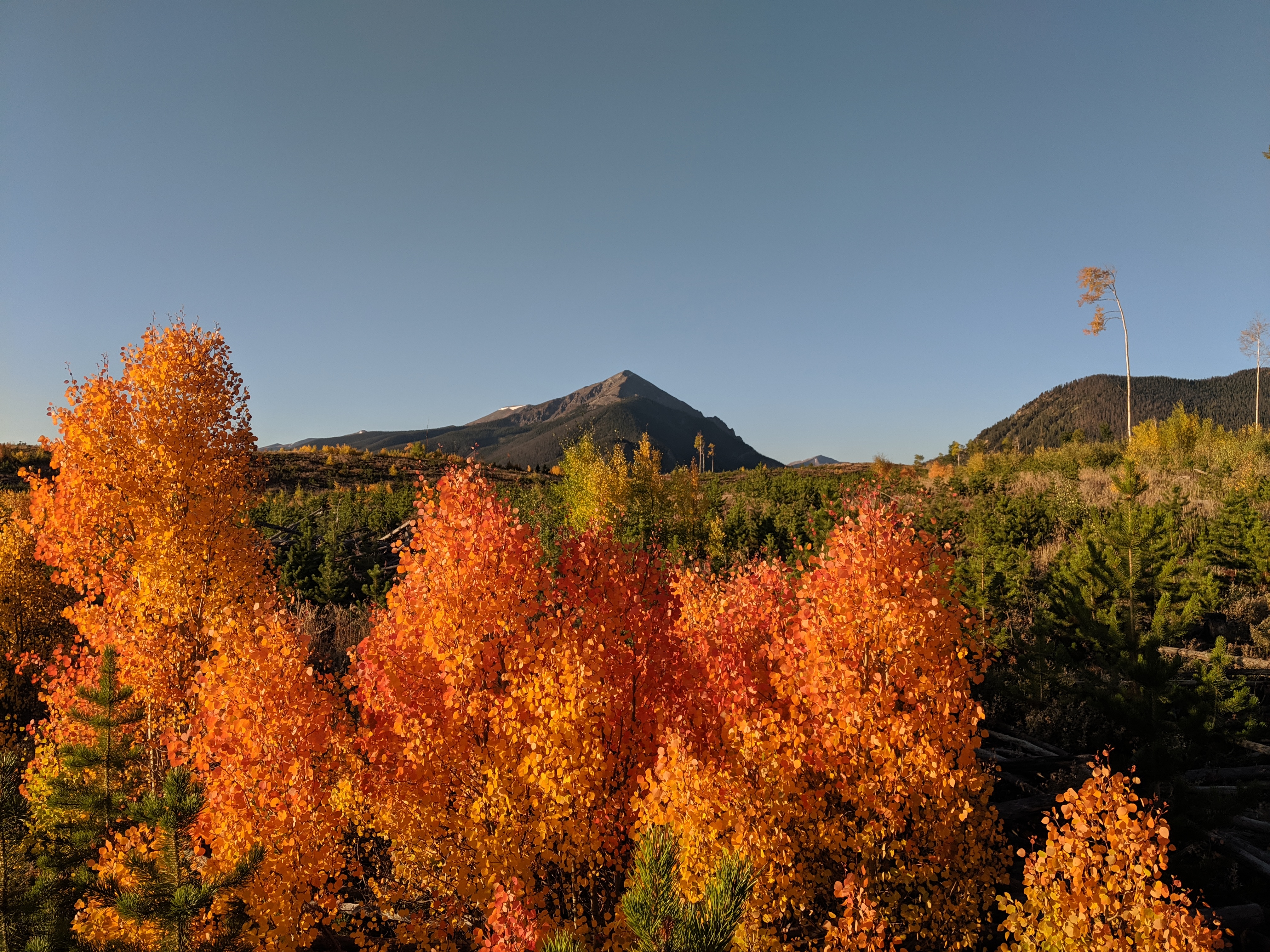 Silverthorne Open House Fall Tour header image.
