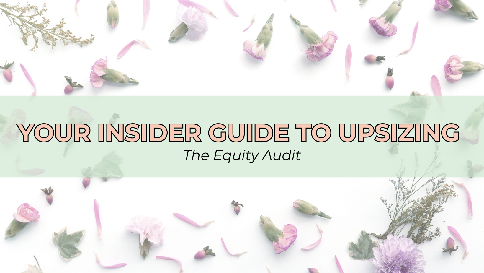 The Equity Audit header image.