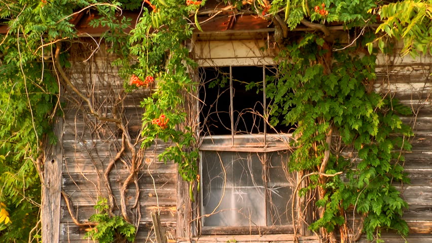 Probate home in Oceanside with visible deferred maintenance and structural issues being prepared for sale