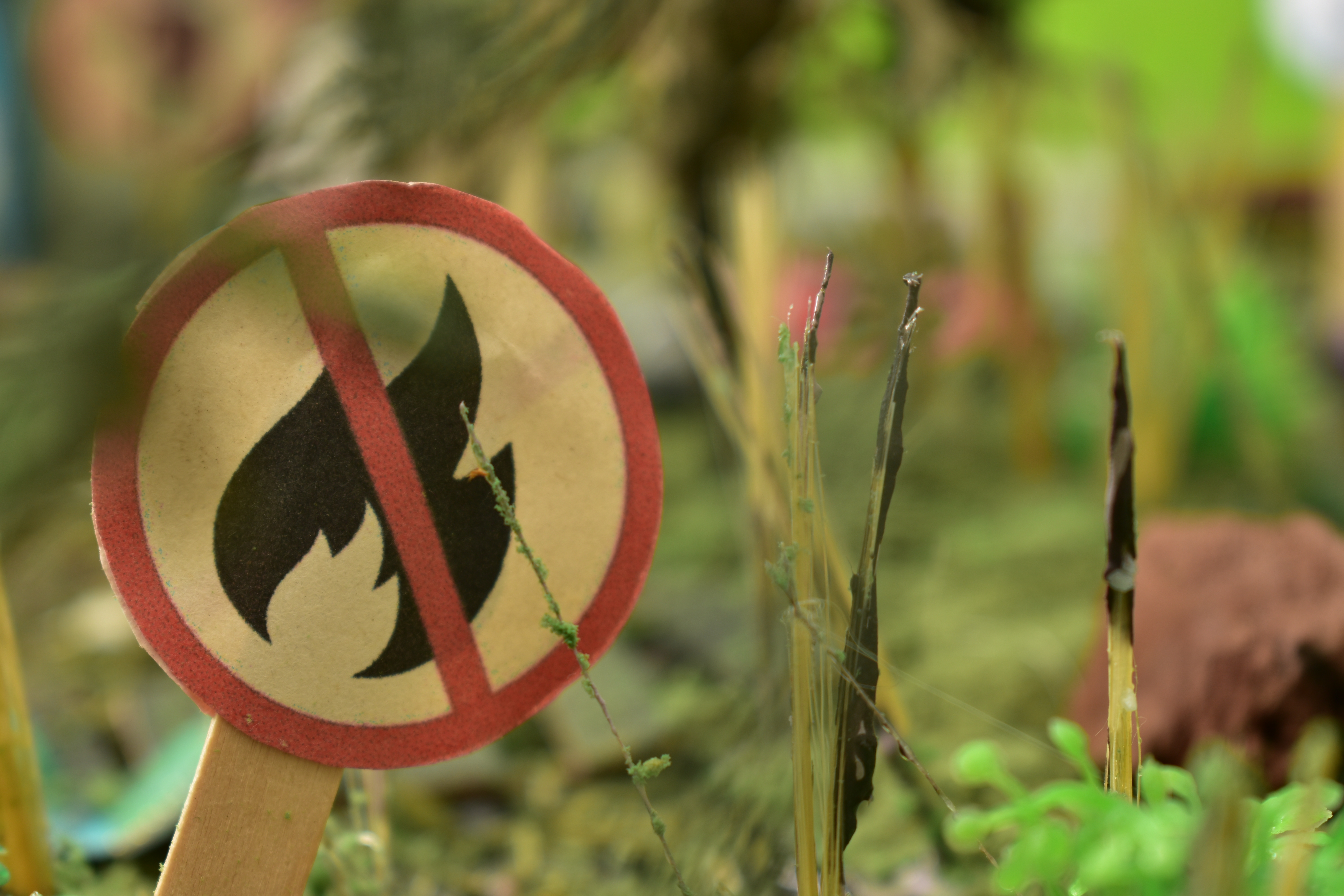 Probate home in San Diego County high fire-risk zone with defensible space cleared for sale compliance