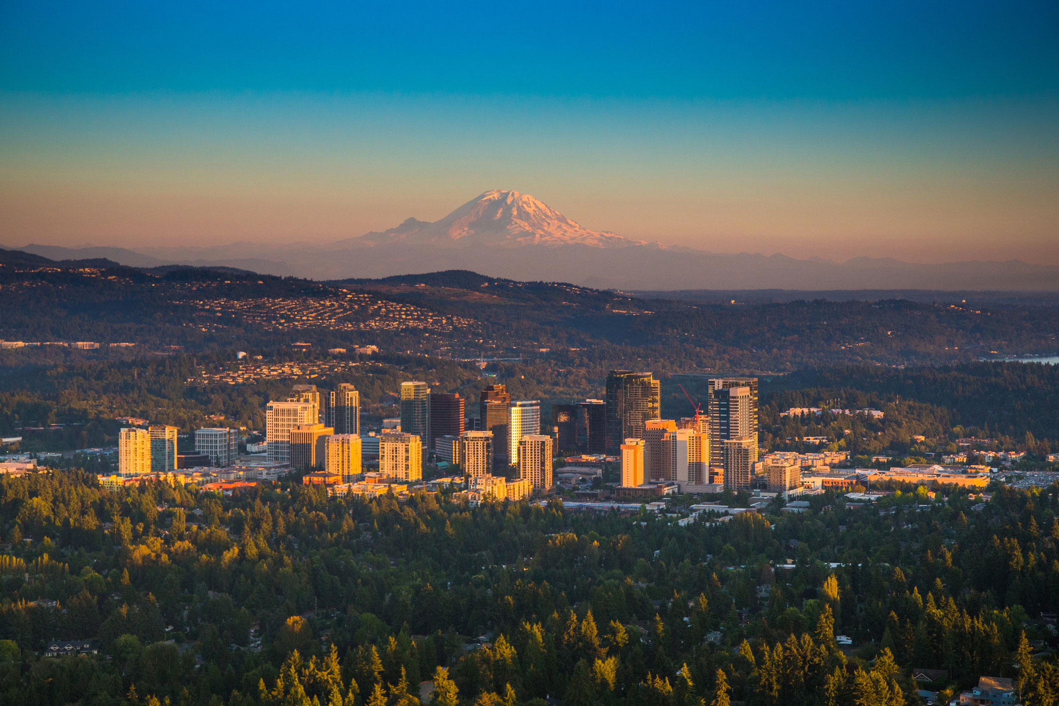 Bellevue header image.