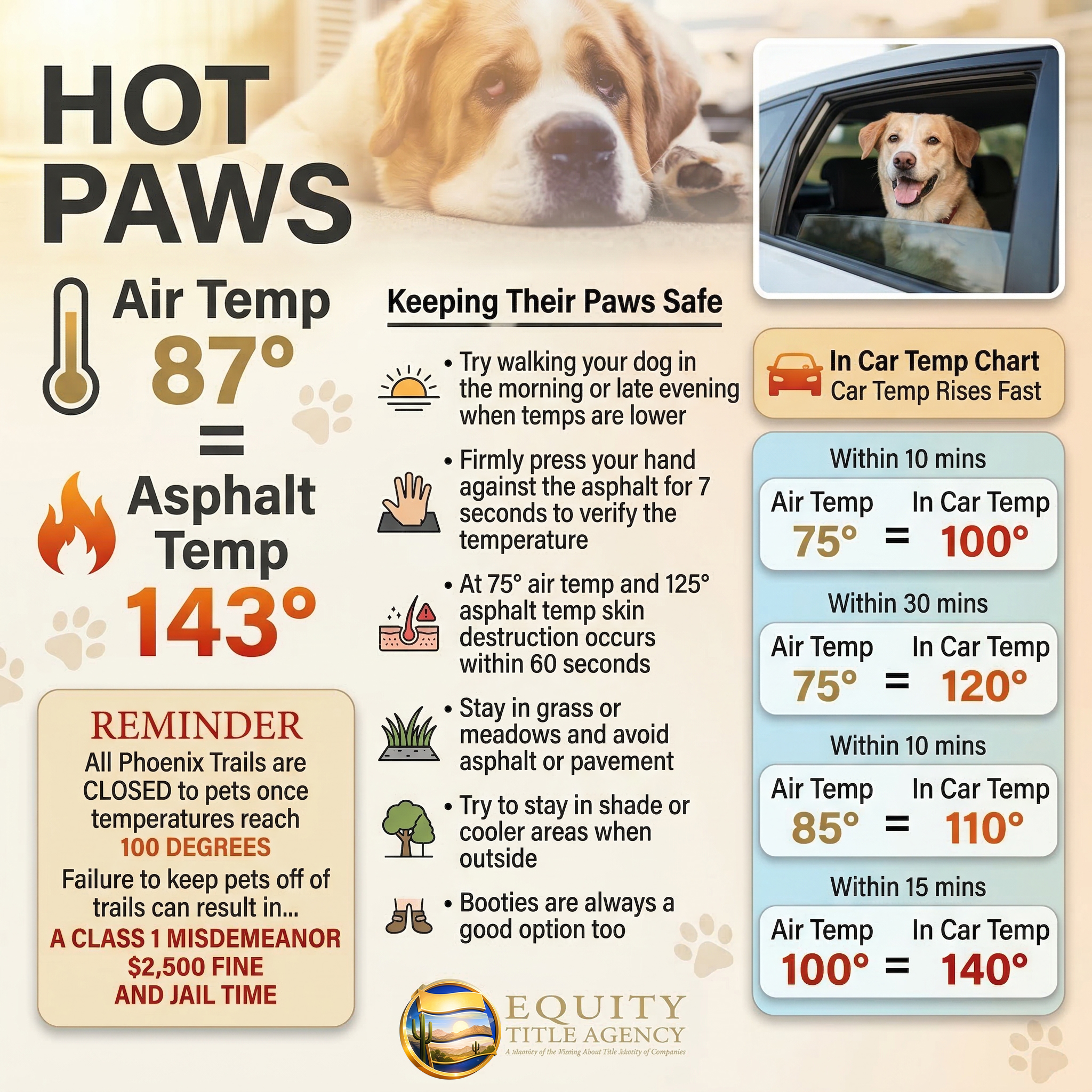 Take care of our Furry Friends! header image.