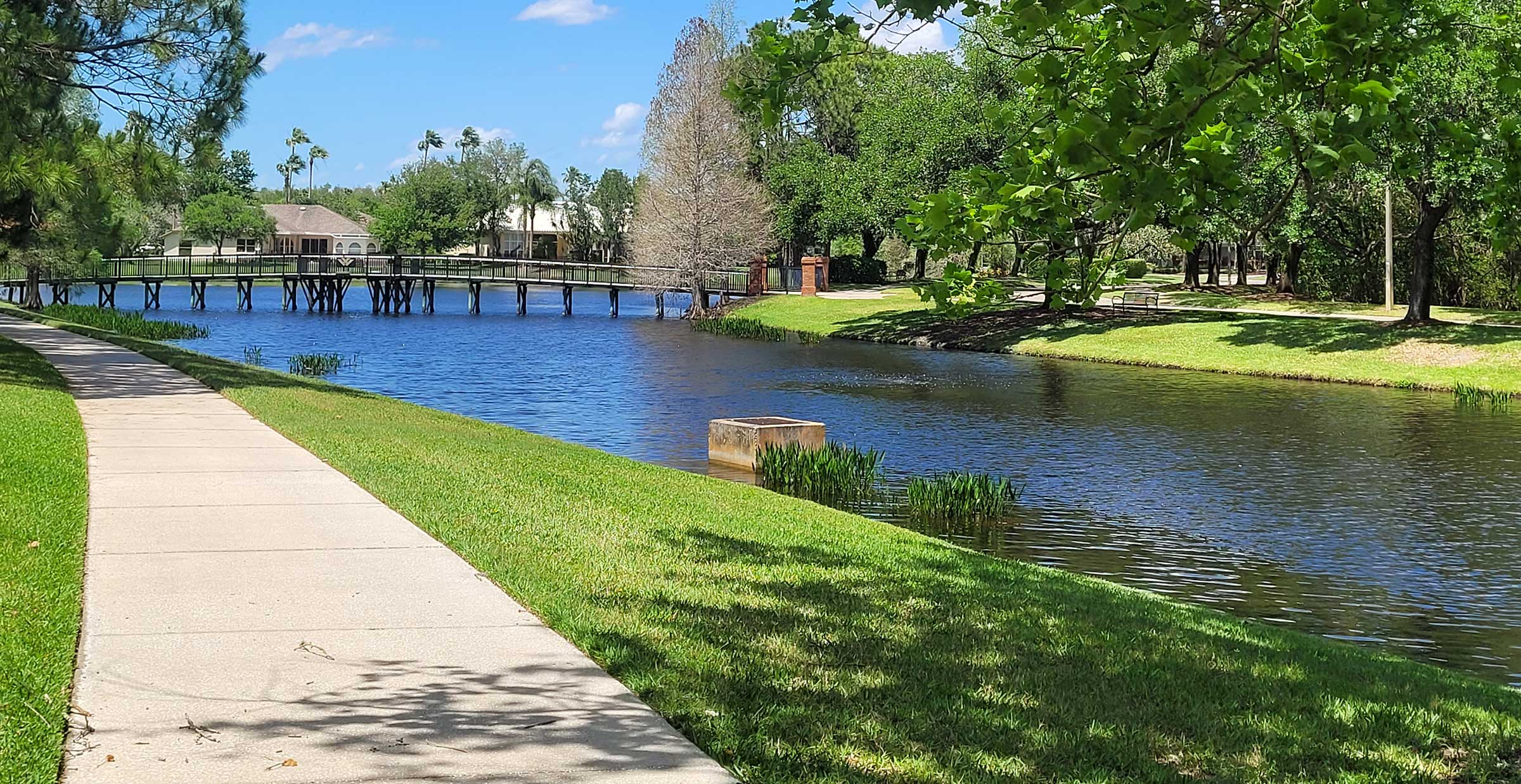 Westchase vs. Odessa vs. Citrus Park: Which Tampa Bay Neighborhood Is Right for You? header image.