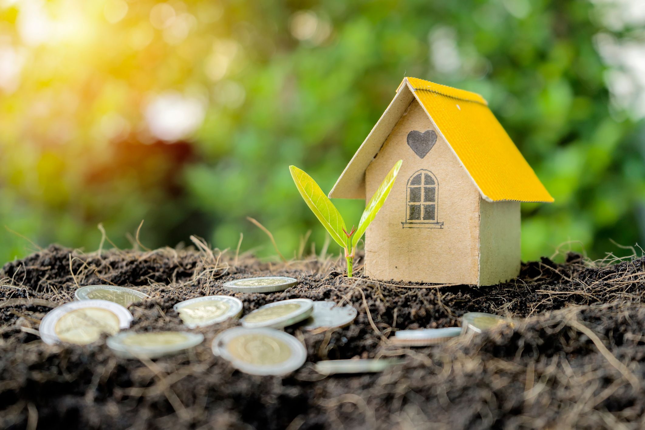 Your Pro Guide to Beat the Heat Inside and Out header image.