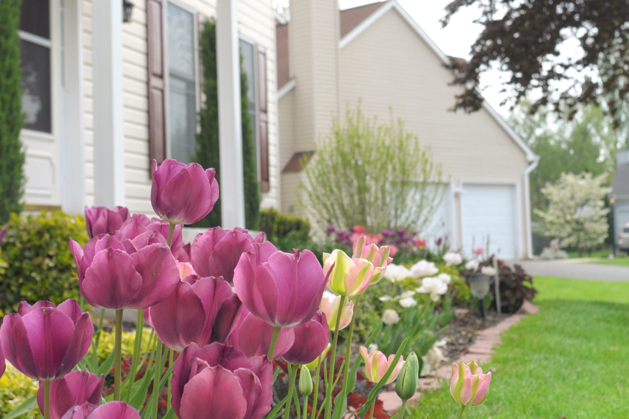 Spring Home Maintenance Checklist header image.