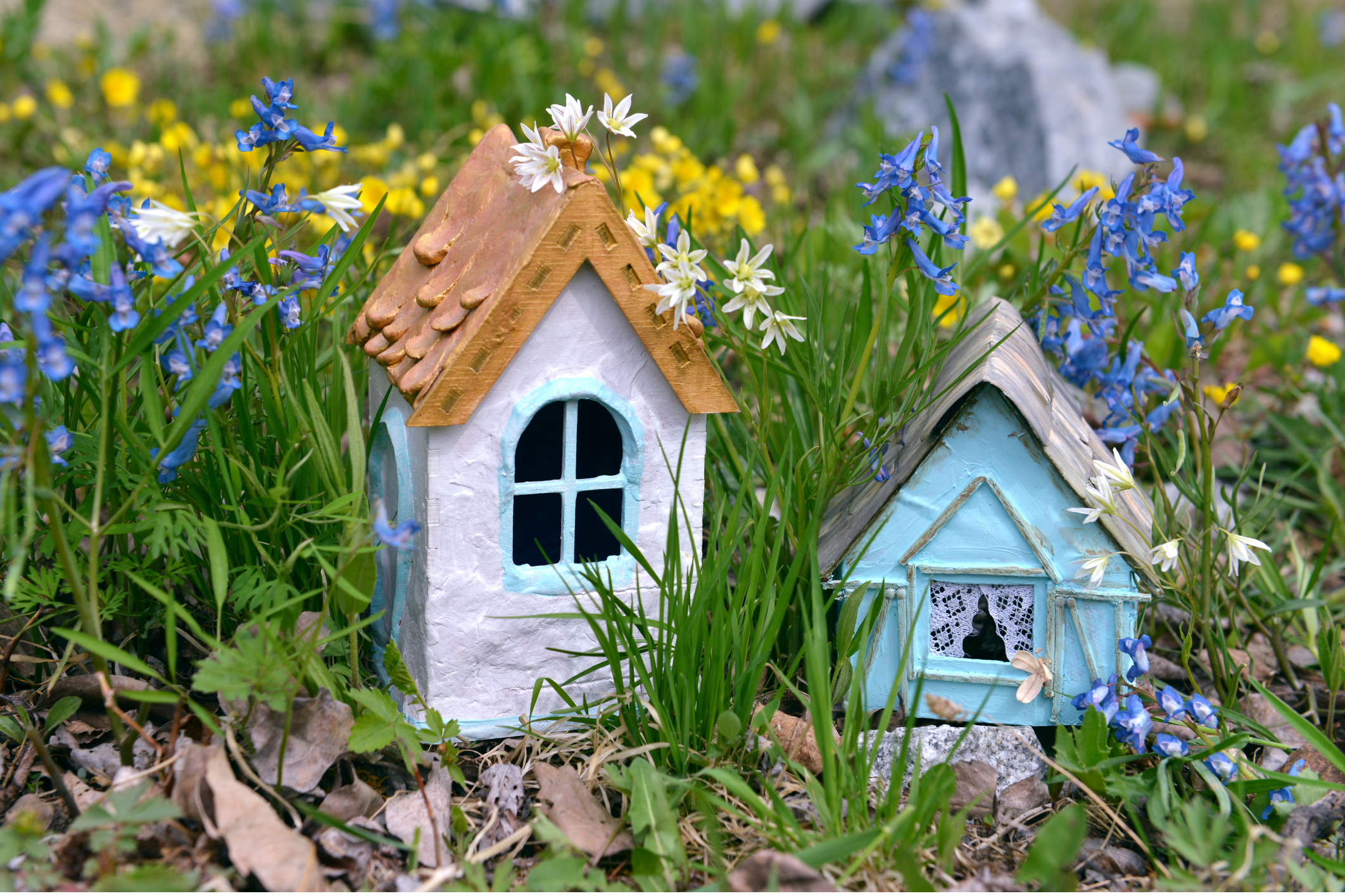 Home is Where the Wildflowers Grow: A Local Wildflower Guide to Southeastern PA header image.
