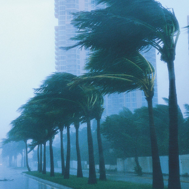 Coastal Bend home buyer reviewing windstorm and flood insurance considerations before purchasing a home