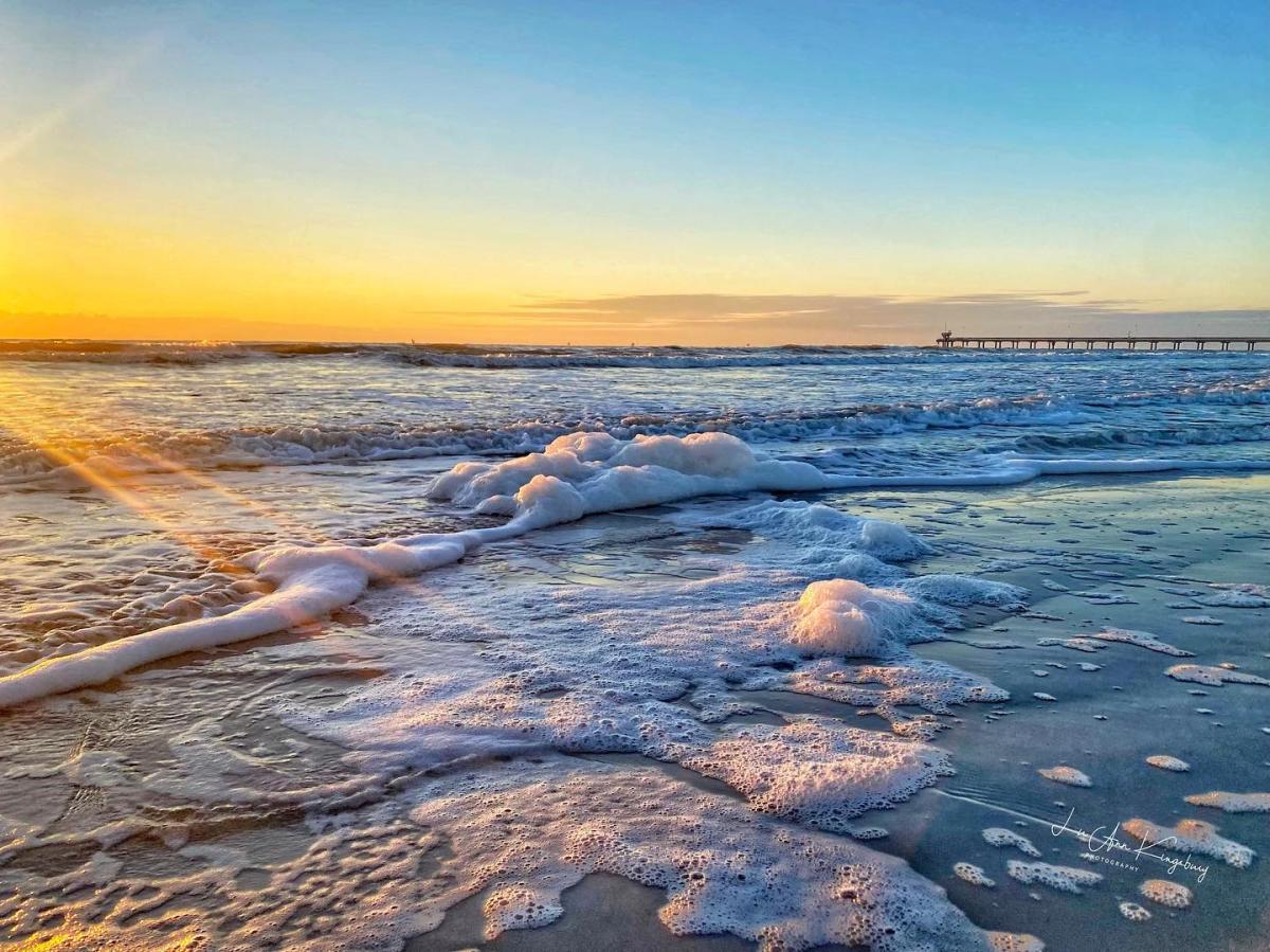 Winters in Corpus Christi header image.