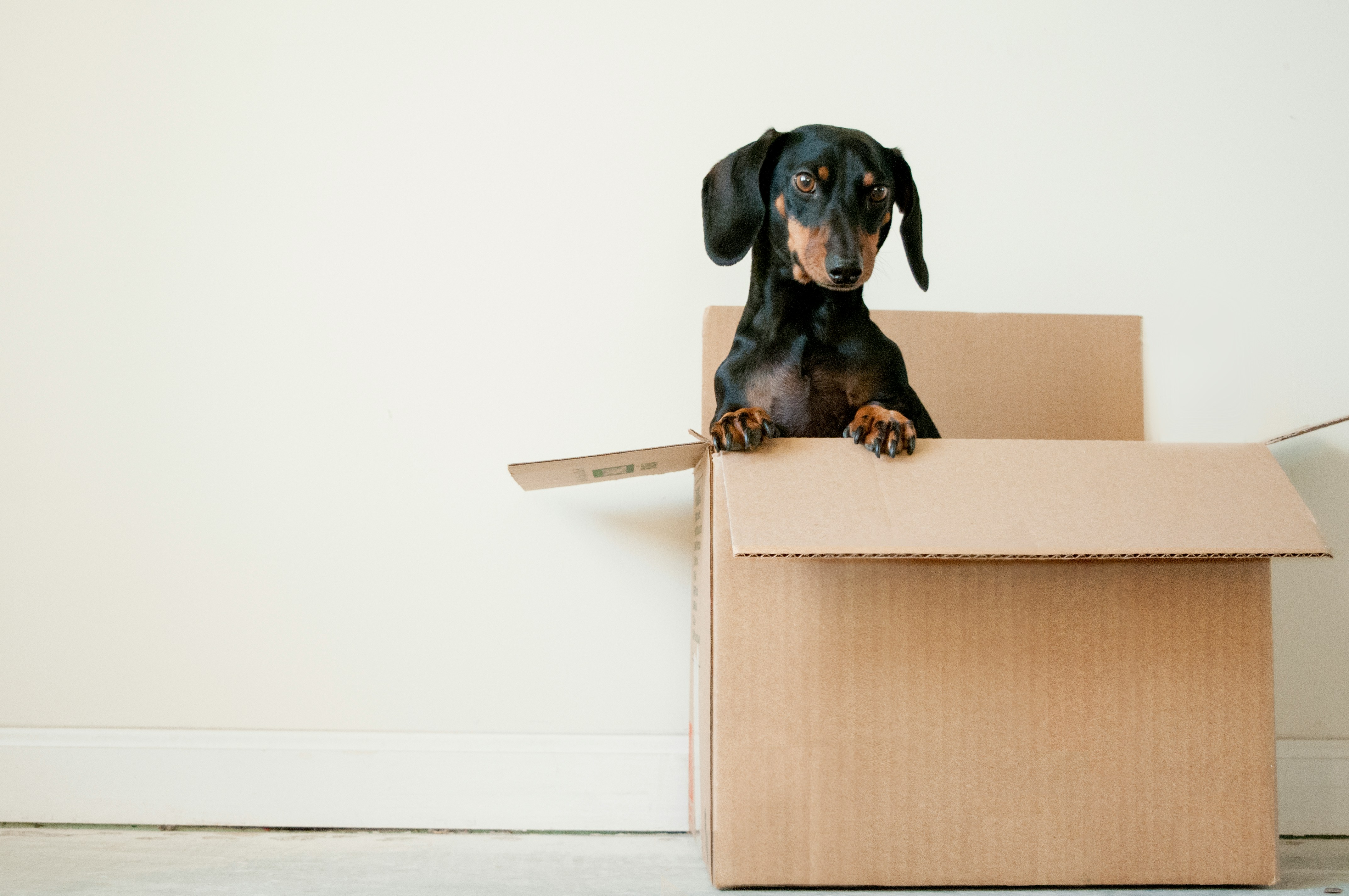 The Ultimate Guide to a Stress-Free Long-Distance Move header image.