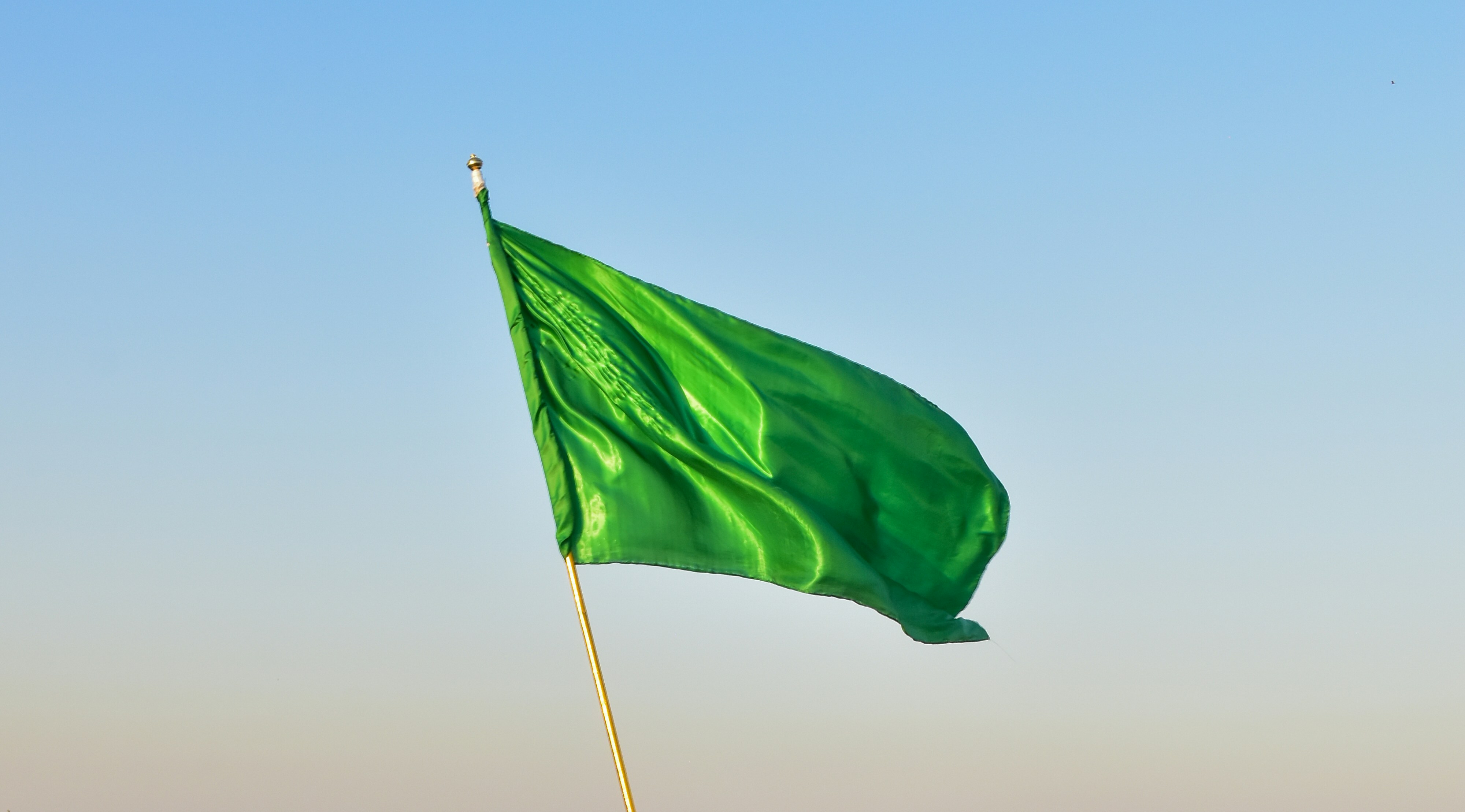 Green flags in a house that buyers overlook