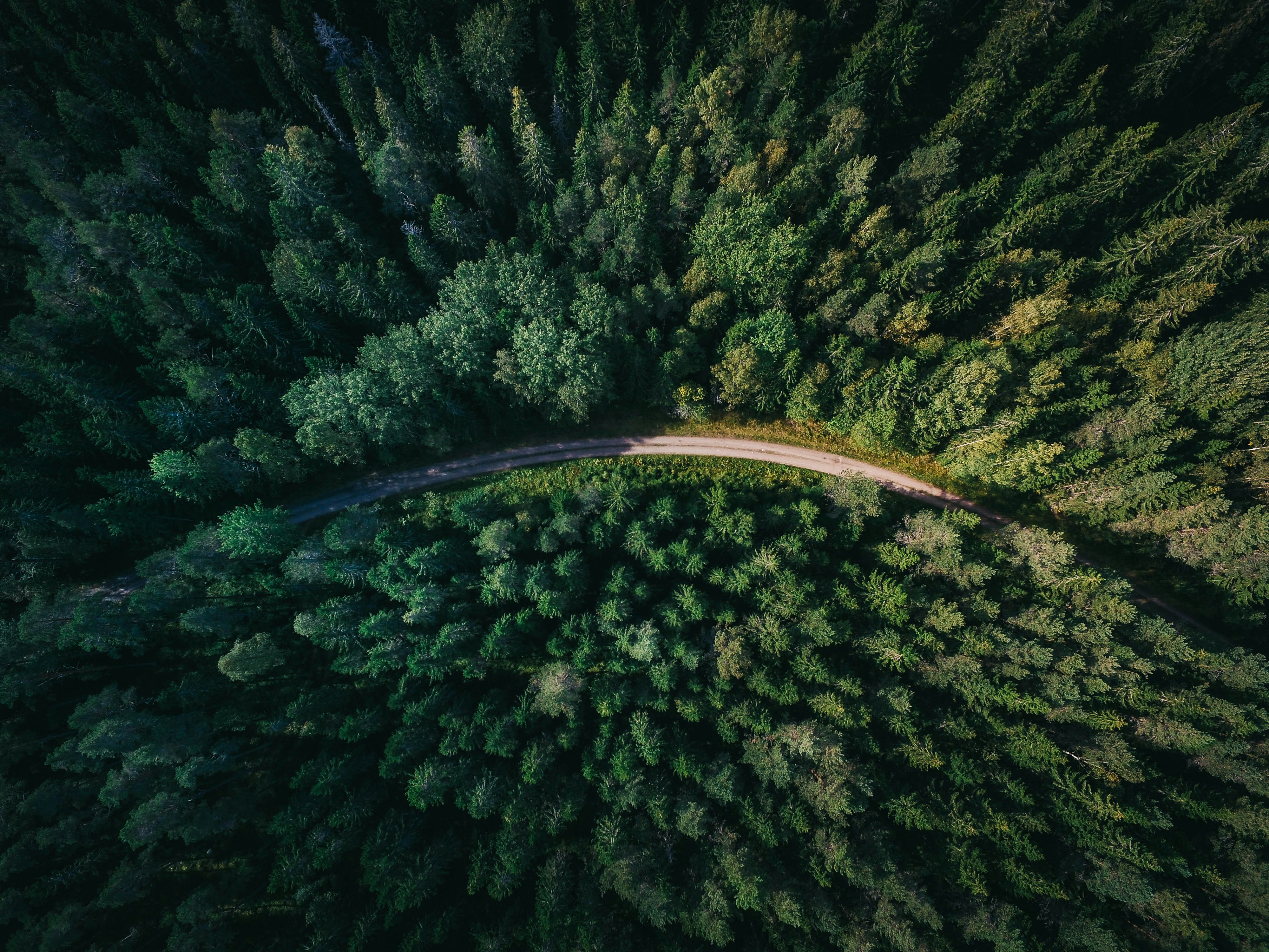 Buying land in Minnesota or North Dakota