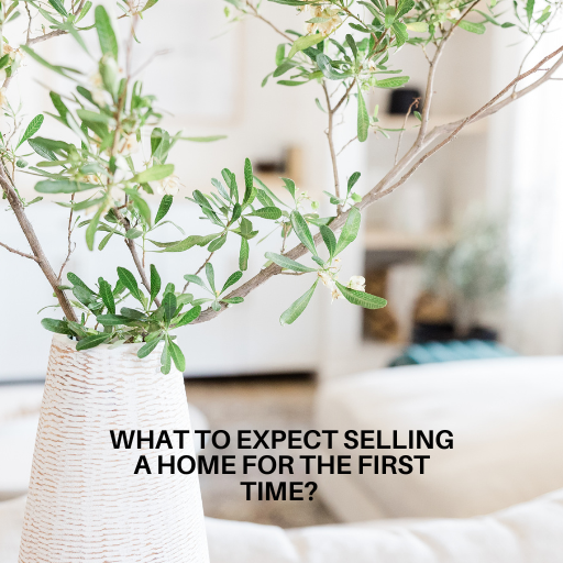 First-Time Seller’s Guide: What to Expect When Selling Your Home header image.