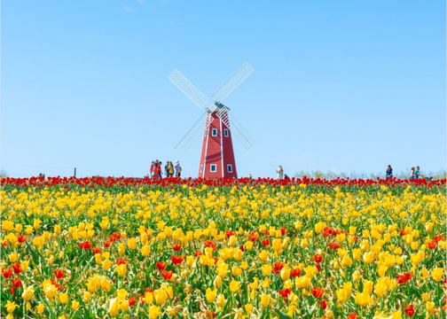 Things to do in Kansas City, April Events in Kansas City, 2026 Events, Kansas City Real Estate, Kansas City Realtor, Overland Park Realtor, Kansas City Housing Market, Leawood Realtor, Prairie Village Realtor