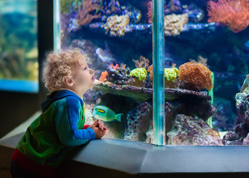 Indoor Family Activities in Kansas City