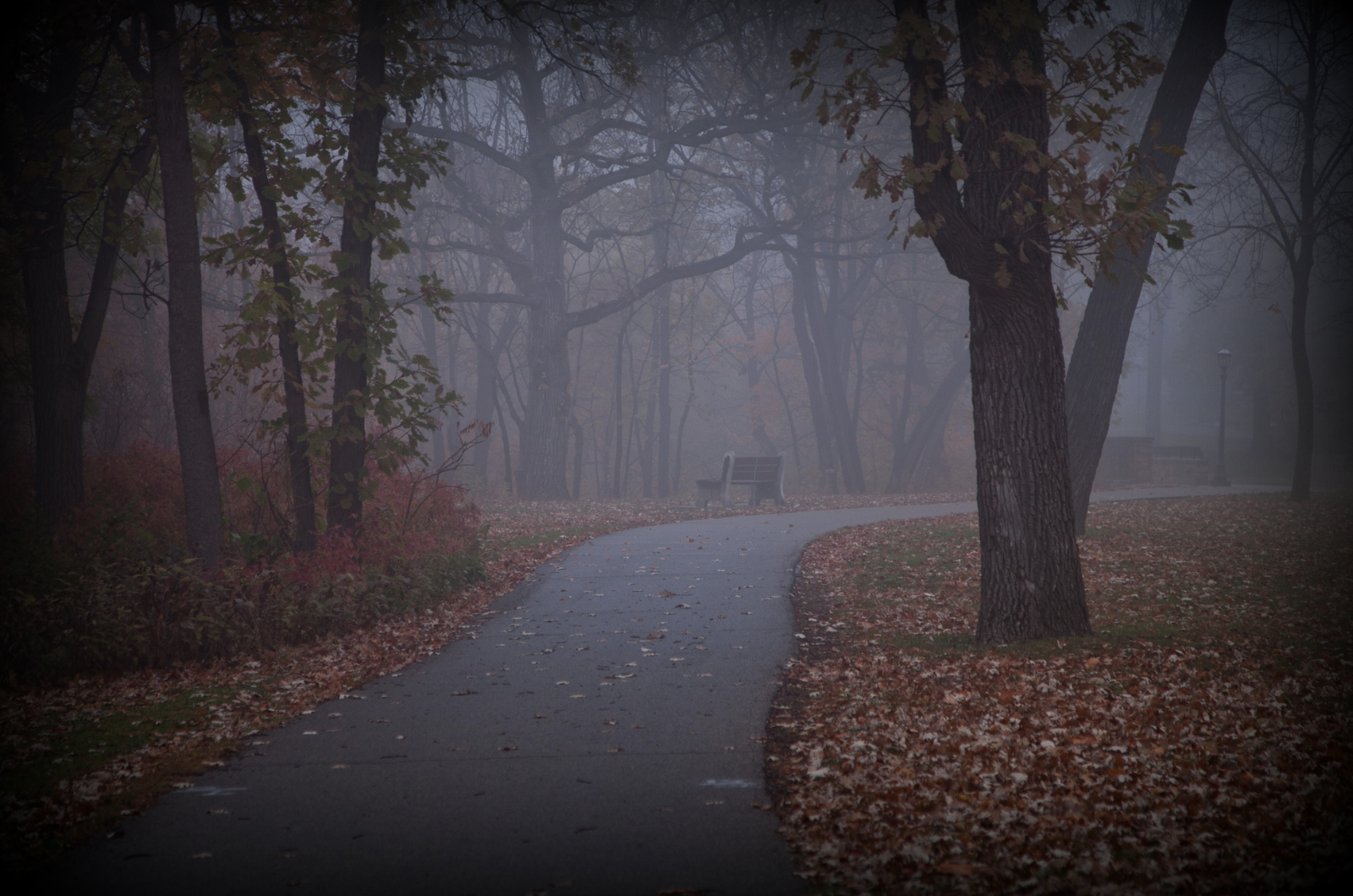 Haunted KC header image.