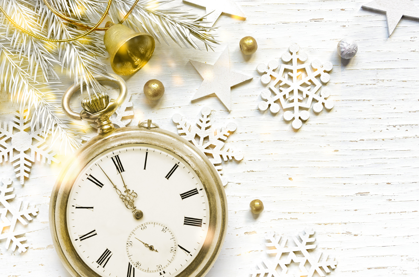 5 KC Dog Parks The Whole Family Will Love header image.