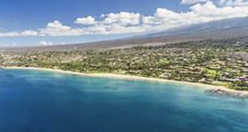 Maui Realtor