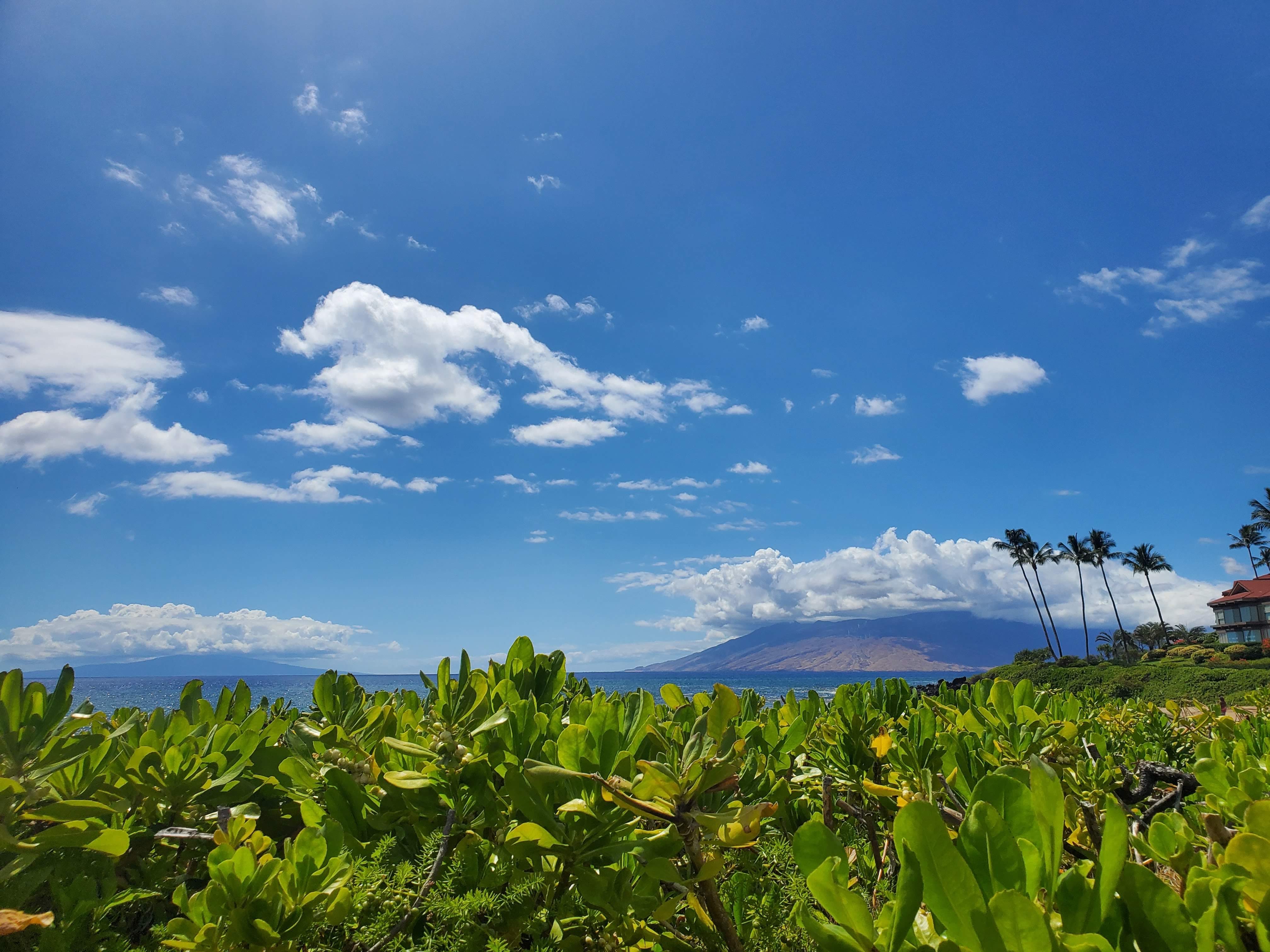 How Noise Buffers and Natural Barriers Improve Comfort in Maui Homes header image.