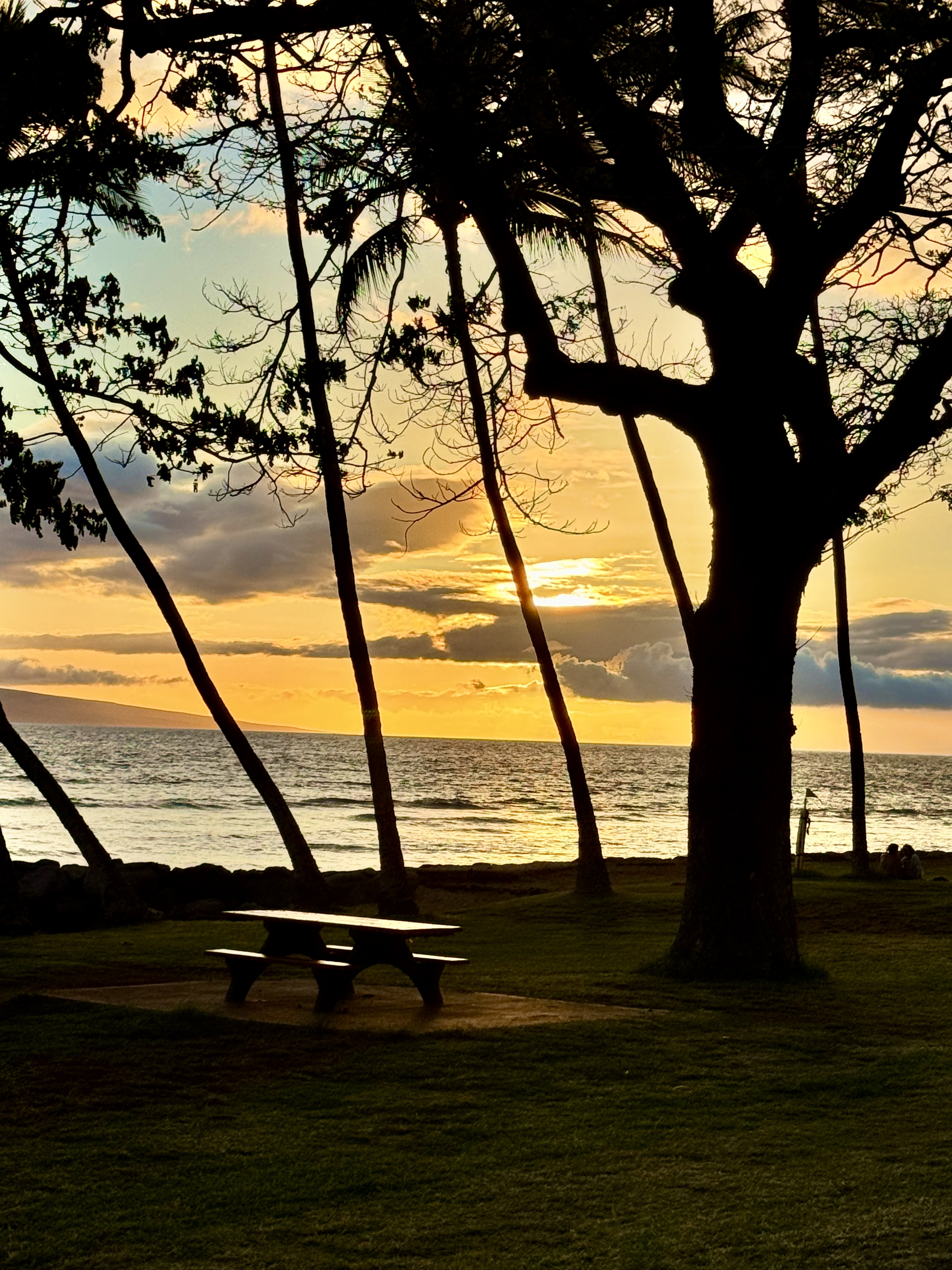 Maui Beach park Launiopoko Maui sunset
