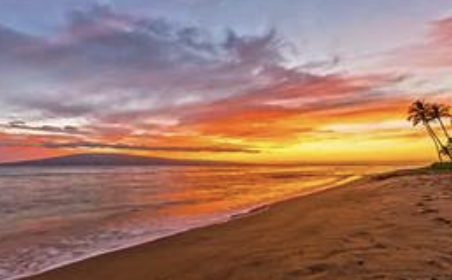 Maui properties
