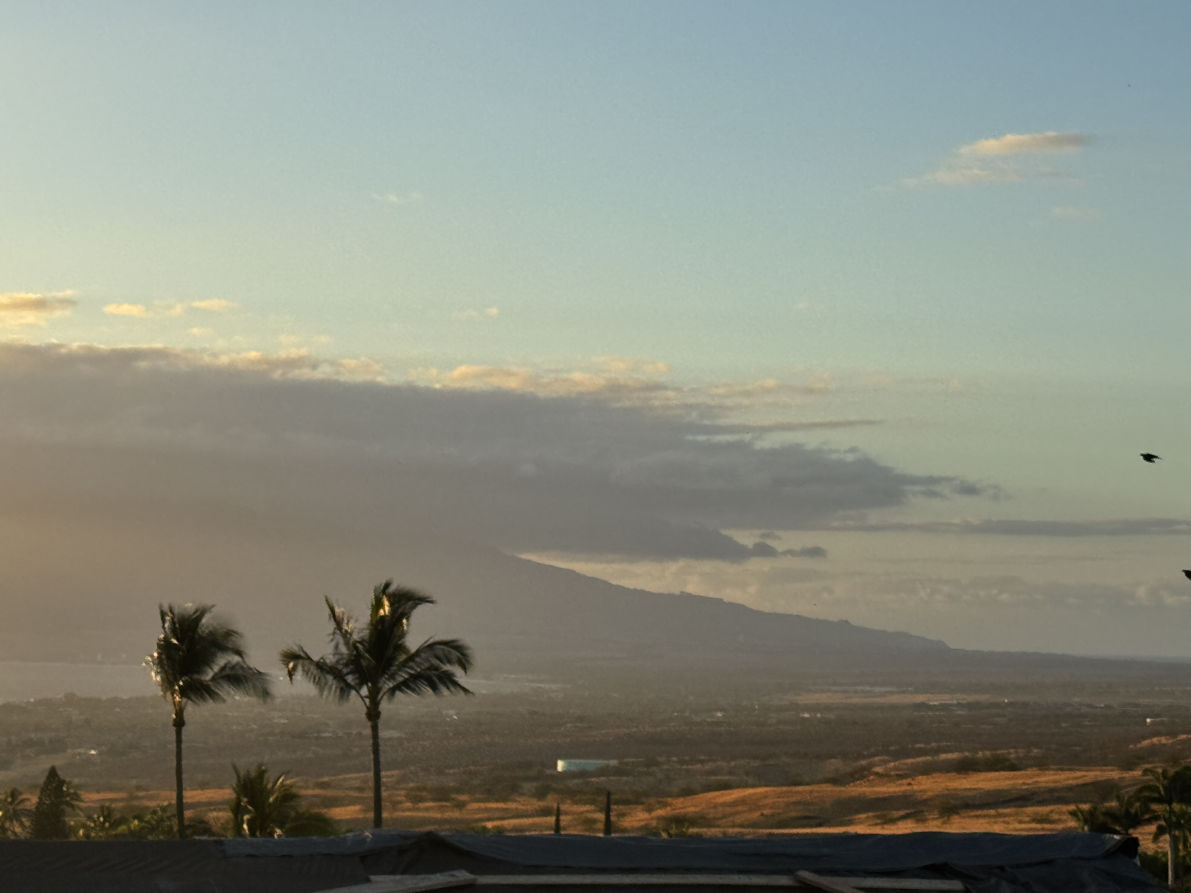 Maui Climate Zones and home maintenence requirements