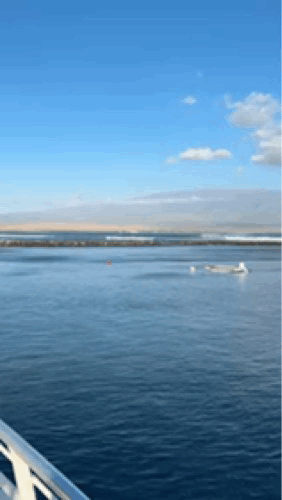 Freight trains gif for best realtor on maui benjamin finnerty's blog