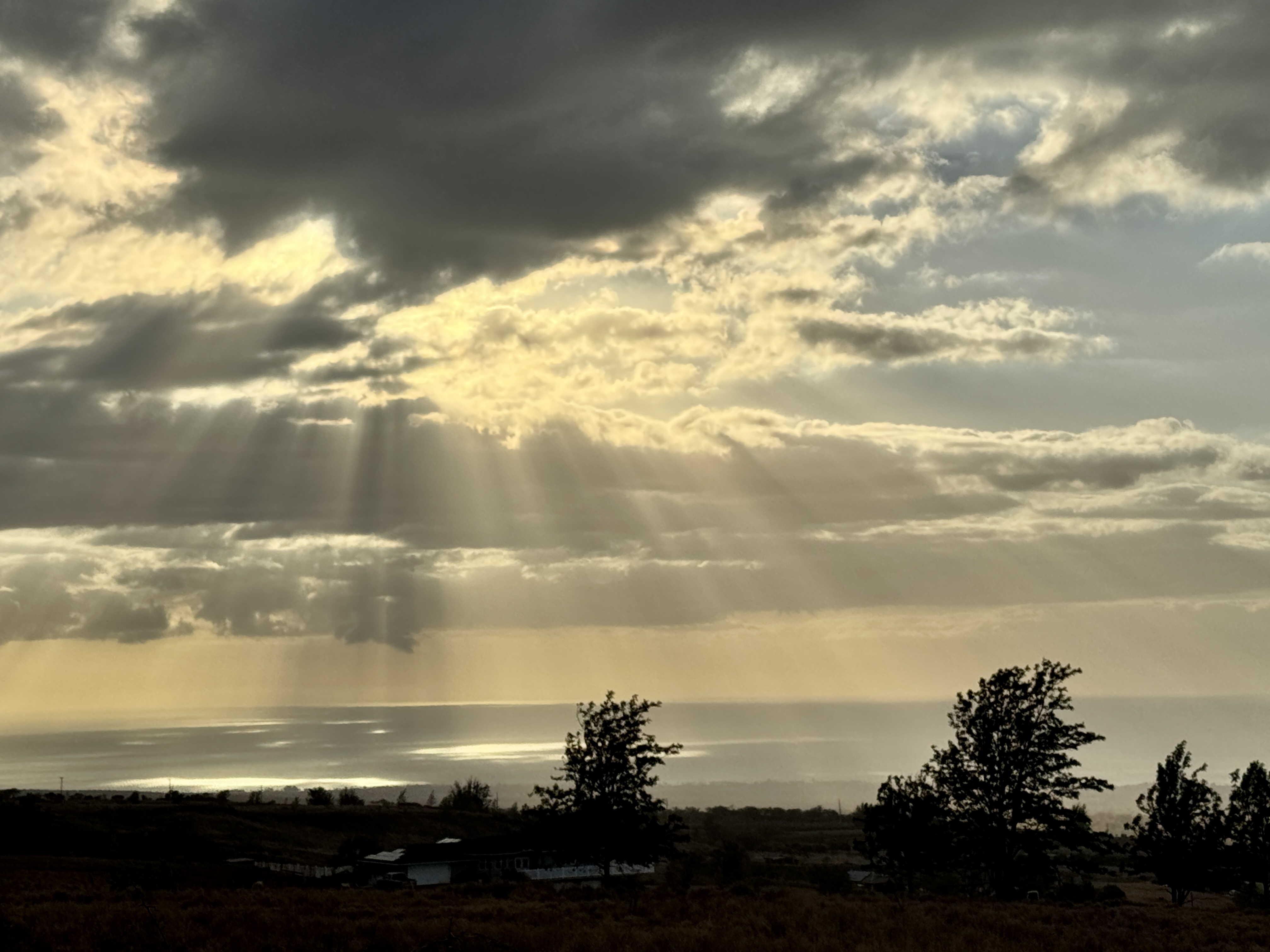 A scenic South Maui neighborhood with ocean views, tropical landscaping, and single-family homes under sunny skies.