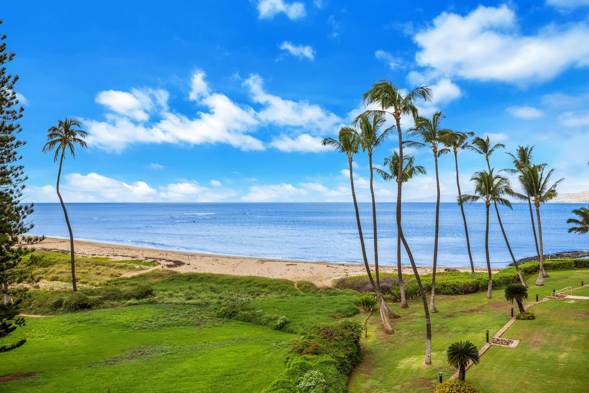 Oceanfront grounds of Menehune Shores in Kihei, with palm trees, a green lawn, and the beach