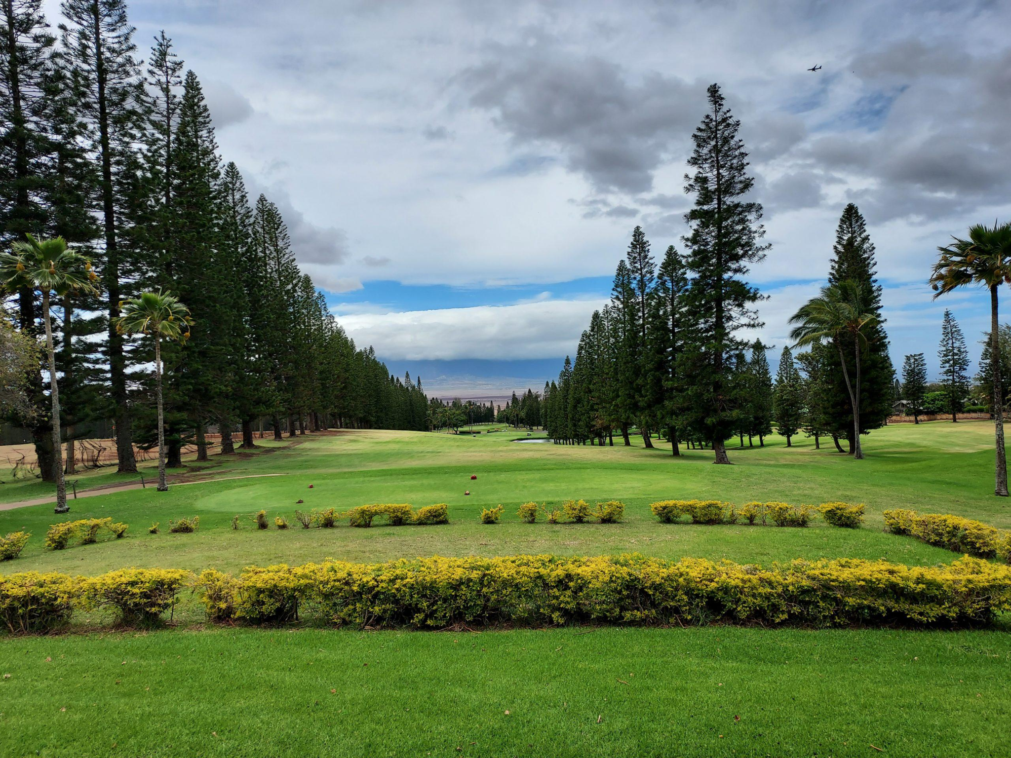 View of Pukalani Country Club golf course in Upcountry Maui featuring lush fairways, towering Cook pines, and scenic views toward Central Maui