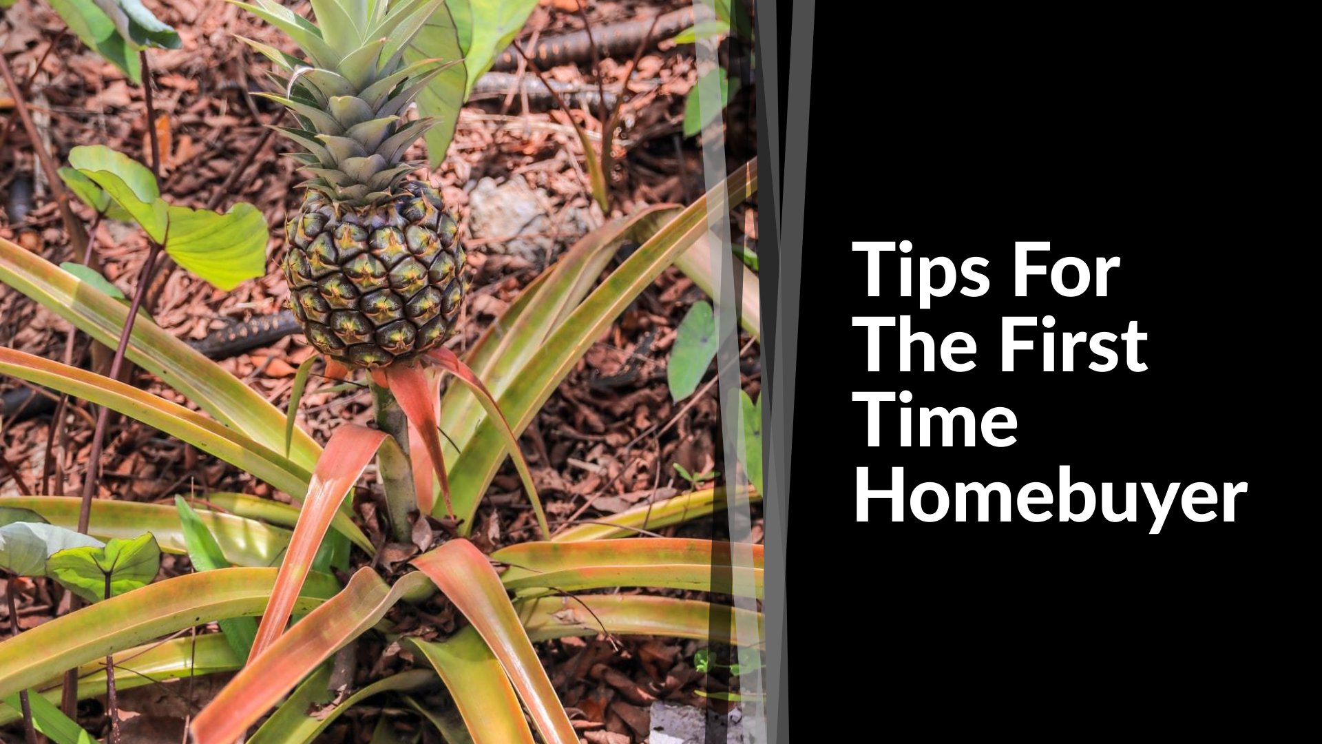 Tips For A First Time Homebuyer header image.