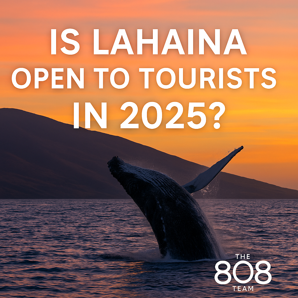 Humpback whale breaching off Lahaina coast during sunset — Is Lahaina open to tourists in 2025