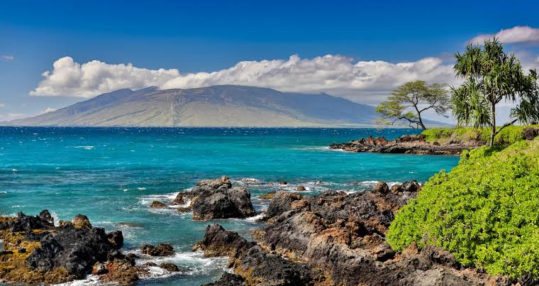 Beautiful Maui coastline featuring turquoise ocean waters, volcanic lava rock shoreline, lush tropical greenery, and panoramic views of the neighboring island of Lānaʻi under a bright blue sky.