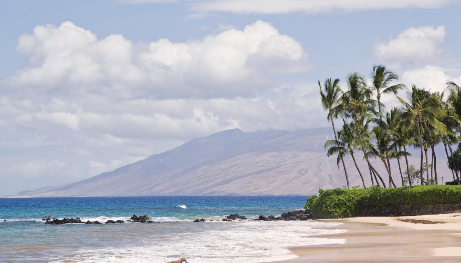 Scenic view of Maui coastline with turquoise ocean and lush tropical landscape