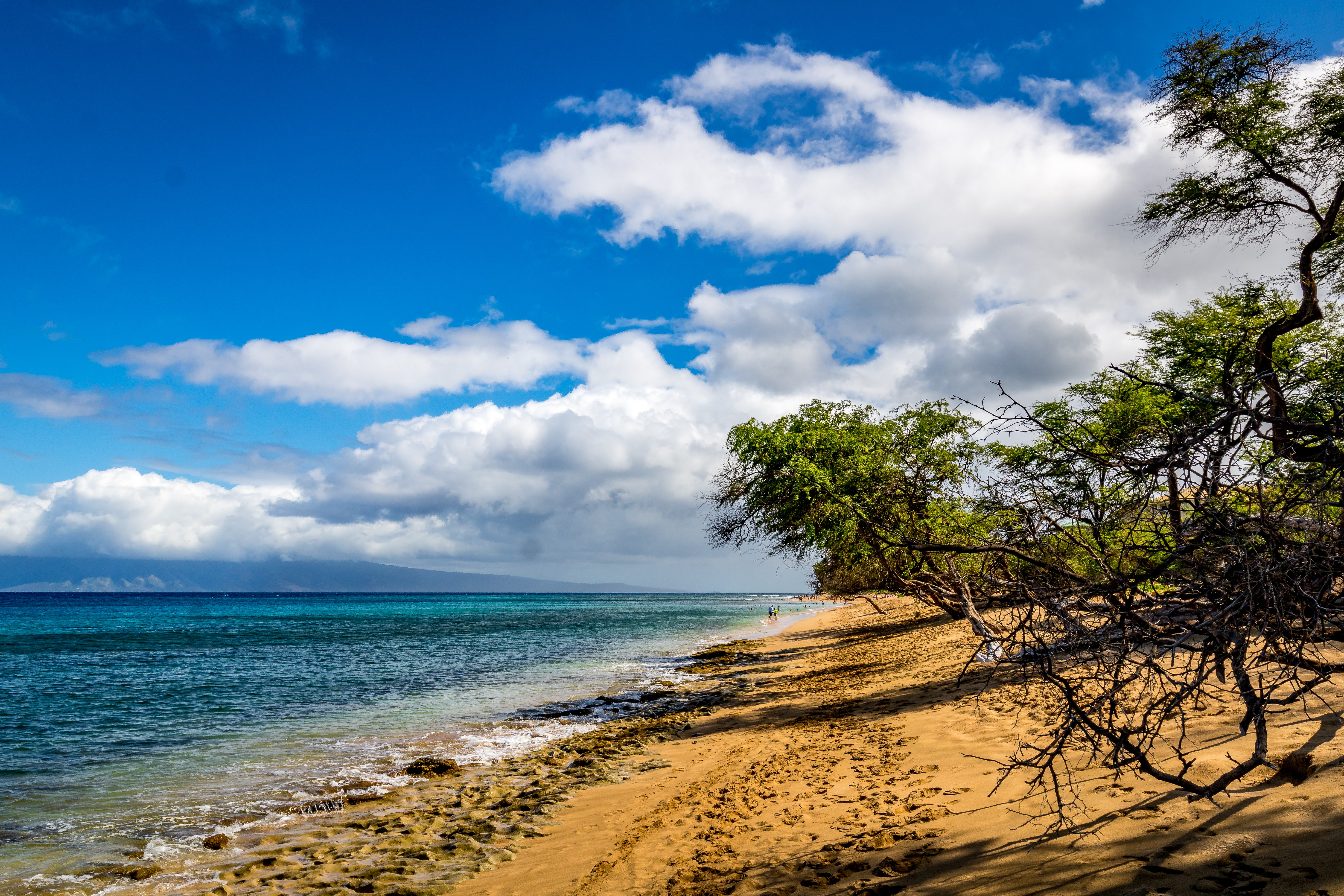 Kamaole Sands Condos in Kihei, Maui: Your Perfect Vacation Destination header image.