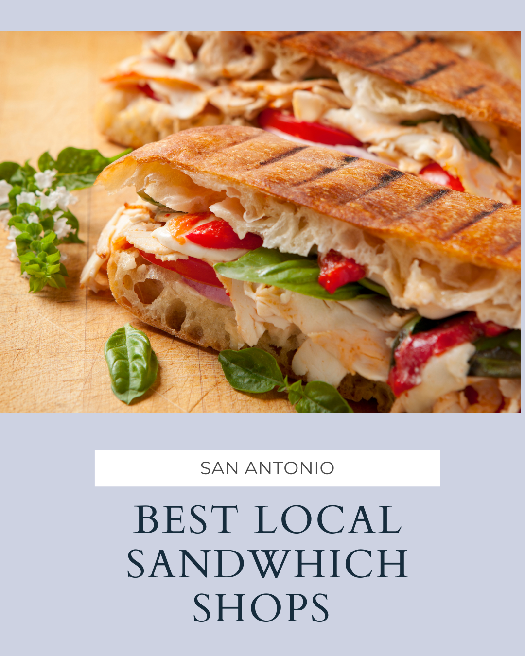 Best Local Sandwich Shops in San Antonio, Texas header image.