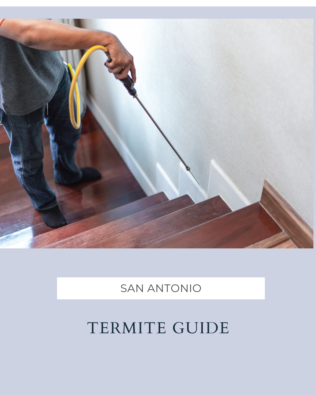 San Antonio Termite Guide: What You Need to Know header image.