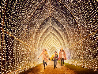 What's Happening in November? Check it out! header image.