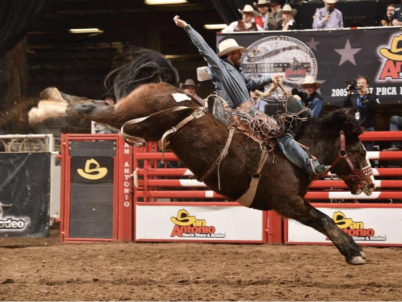 The Month of Love: February San Antonio Area Events header image.