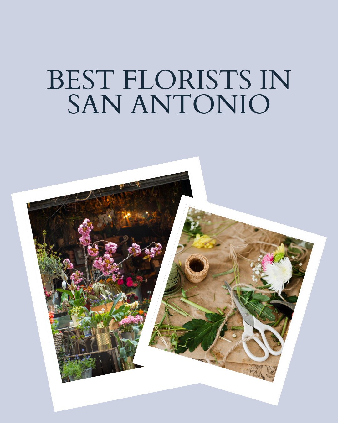 Best Florists in San Antonio 🌸 header image.