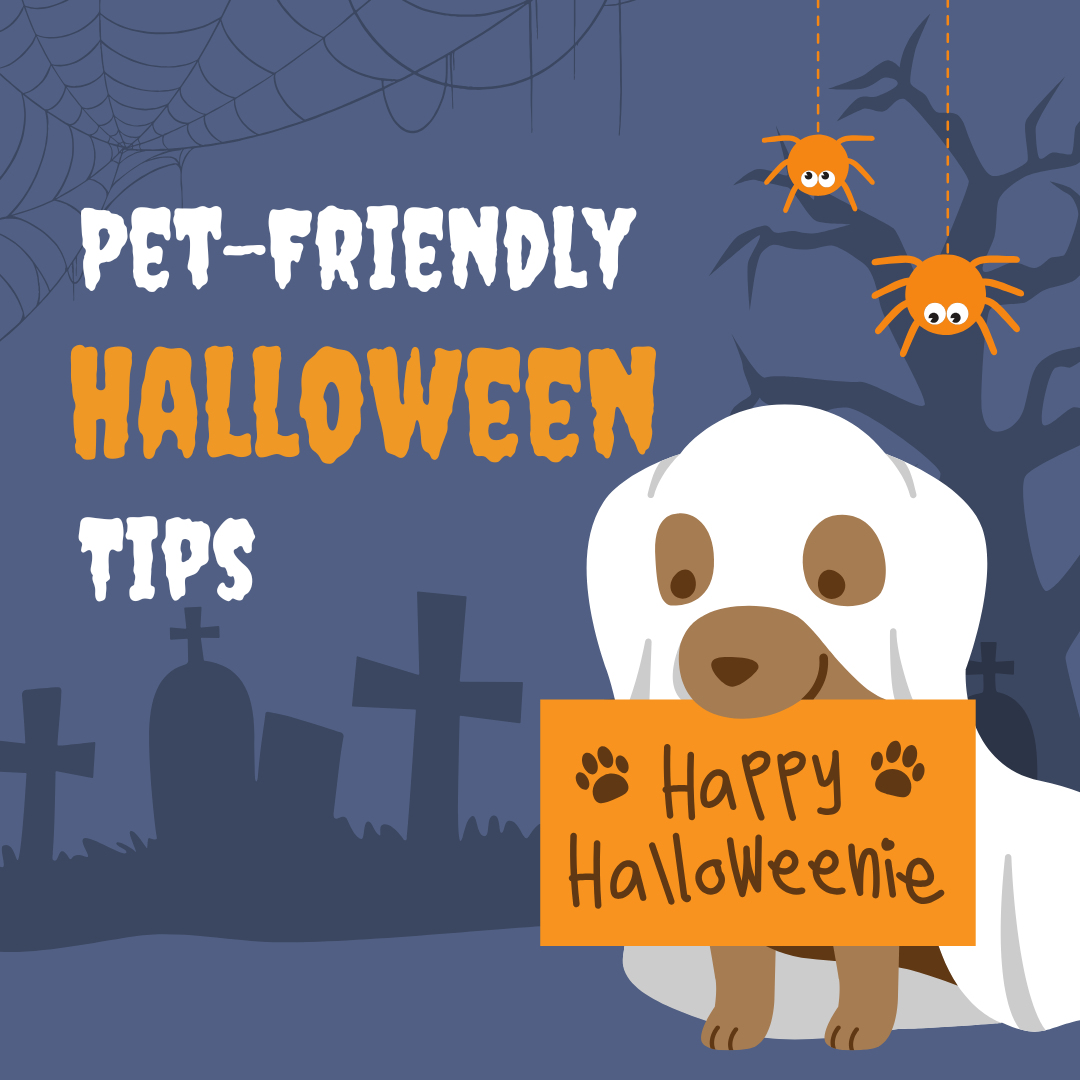 Pet-Friendly Halloween Tips: Keep Your Furry Friends Safe and Festive This Season header image.