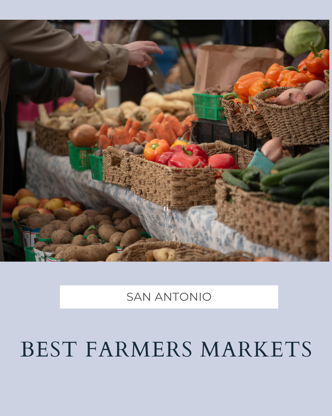 Best San Antonio Farmers Markets to Visit This Season header image.