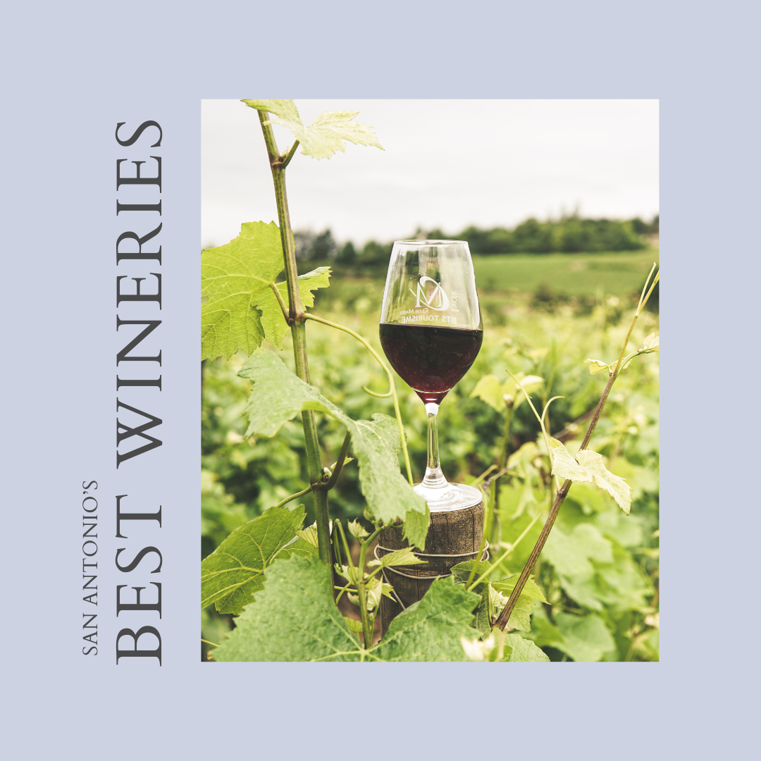 Best Wineries in San Antonio, Texas header image.