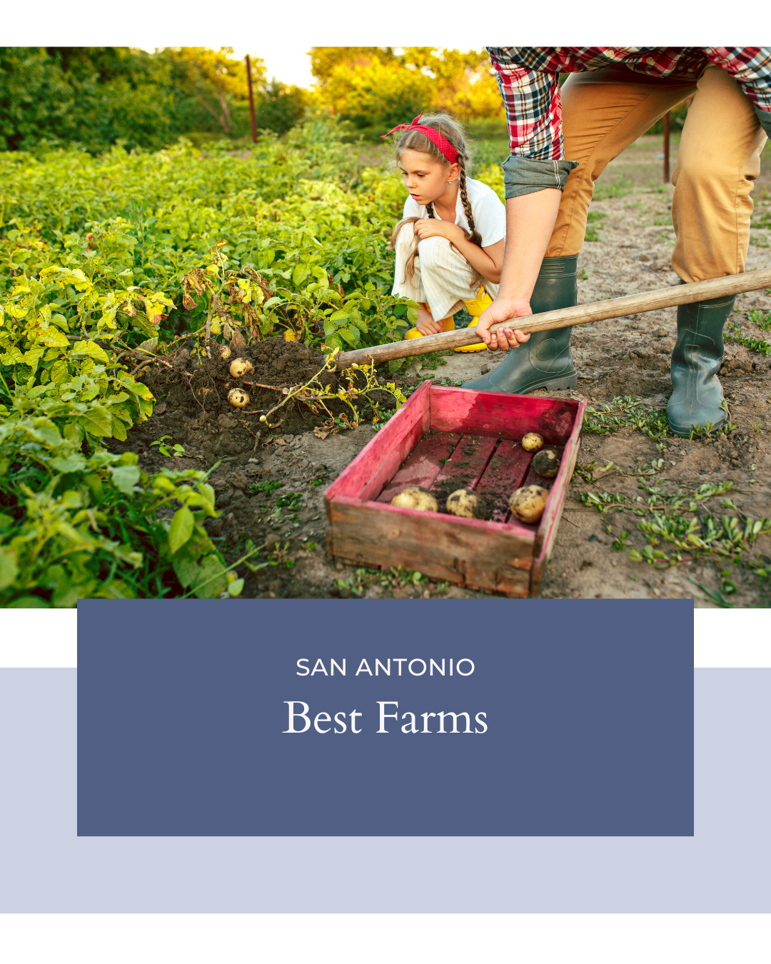 🌾 Best Farms in San Antonio header image.
