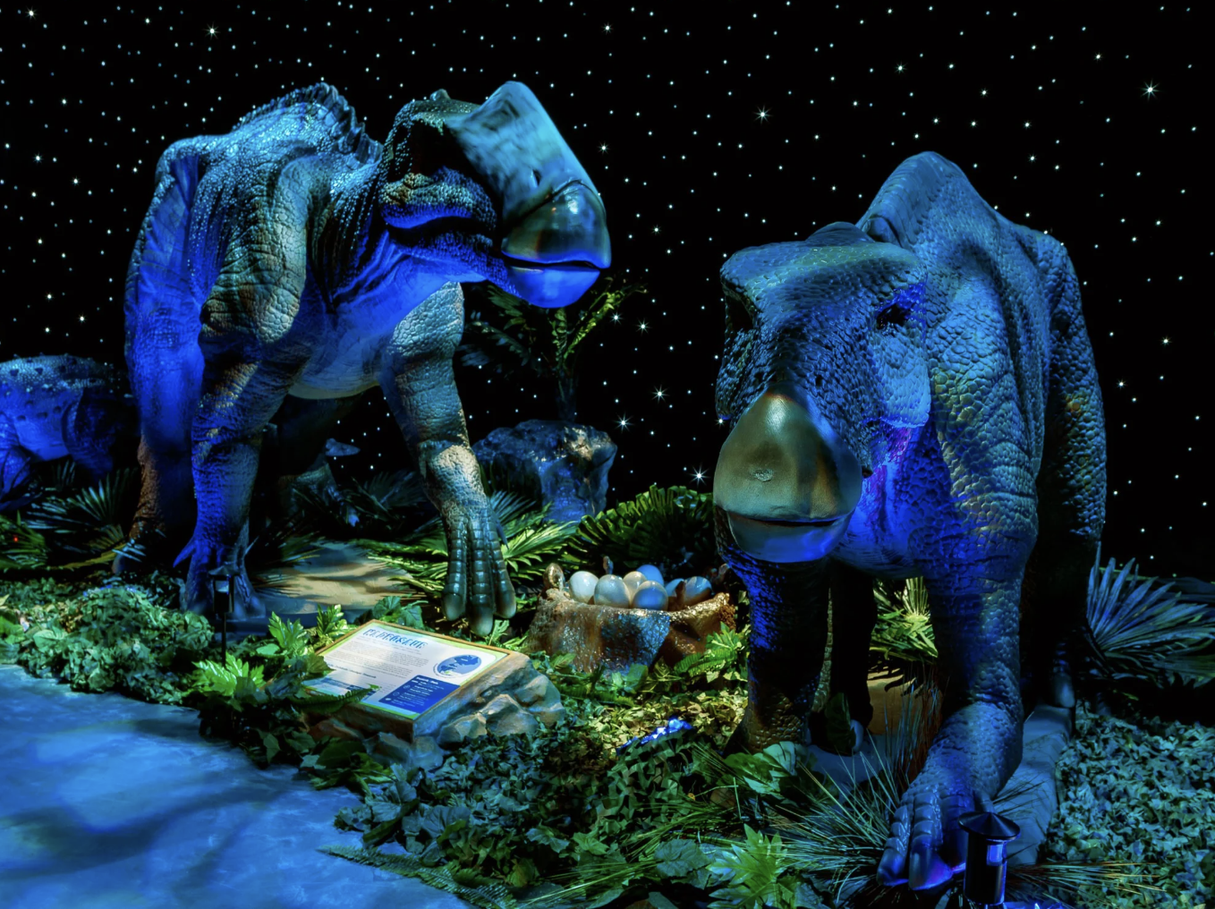 May Events: San Antonio Round-Up header image.