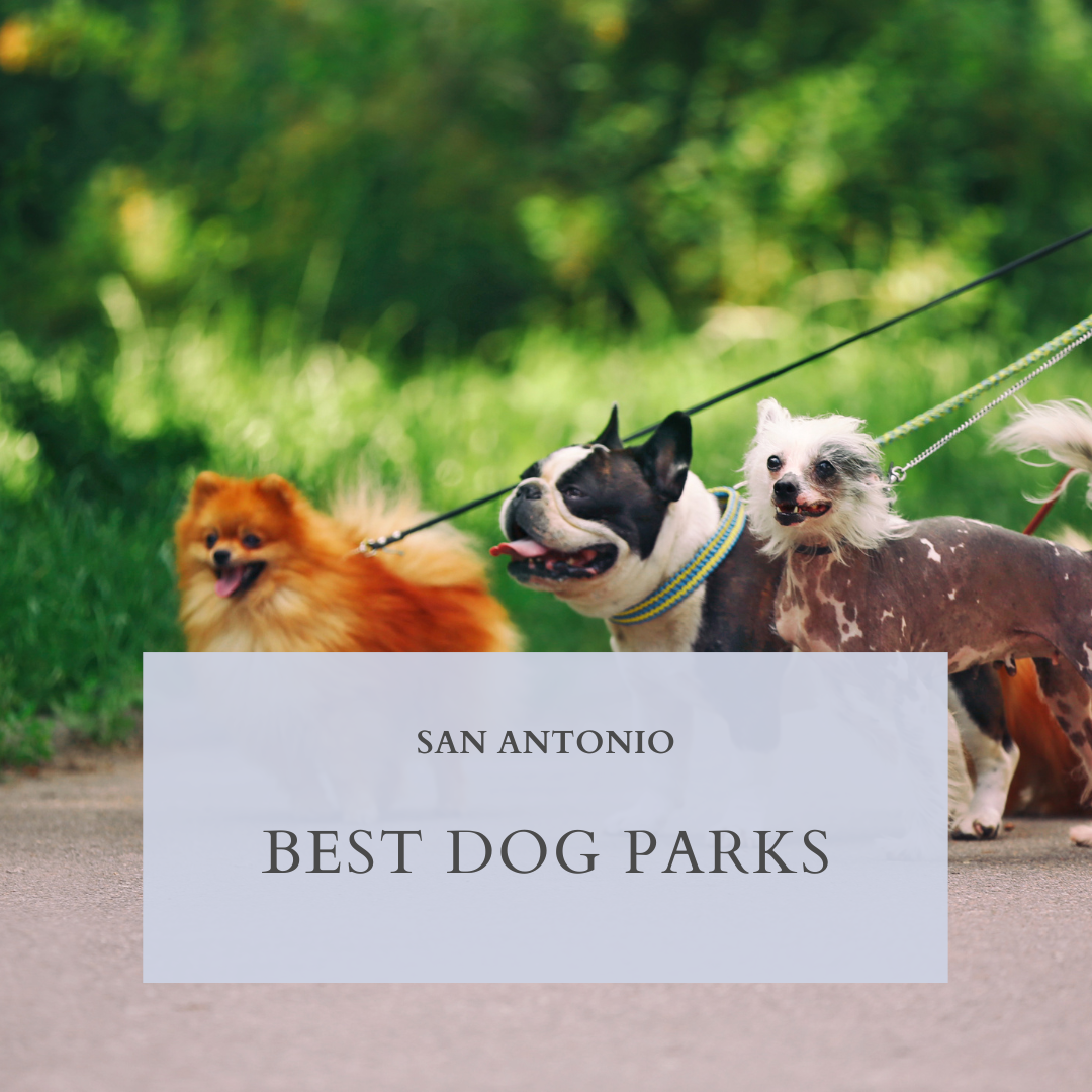 Best Dog Parks in San Antonio header image.