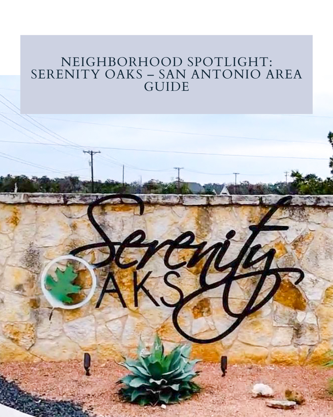 Neighborhood Spotlight: Serenity Oaks – San Antonio Area Guide header image.